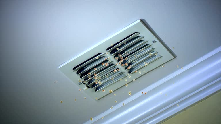 Best HVAC Duct Inspection Services  in Chatham, VA