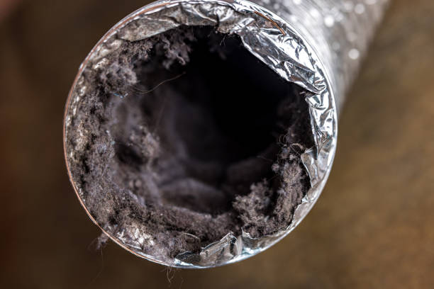 Best Home Air Vent Cleaning  in Chatham, VA