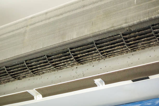 Best Air Duct Cleaning Company Near Me  in Chatham, VA